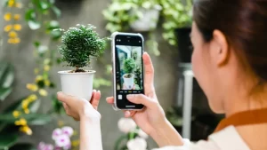 Gift Ideas for Plant Lovers: Plant Identification App Subscription