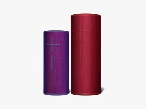 Maid of Honor Gift Ideas: Portable Bluetooth Speaker