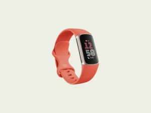 Gift Ideas for People who workout: Fitness Tracker