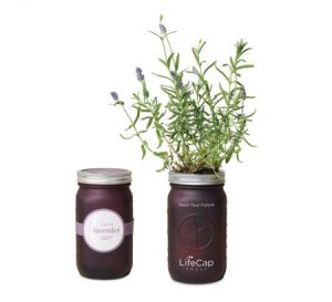 Retirement Gift Ideas for Men: Indoor Herb Garden Kit