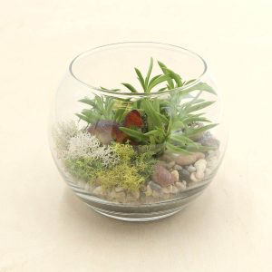 Gift Ideas for Plant Lovers: Terrarium Kit