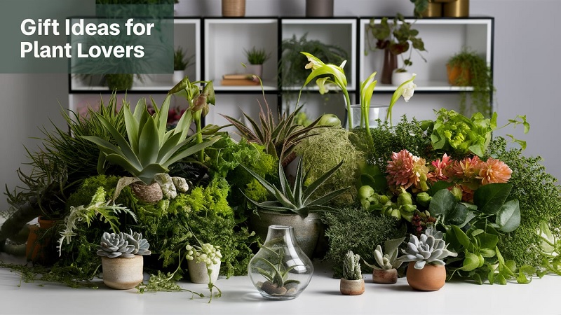 gift ideas for plant lovers