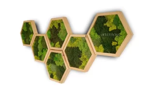 Gift Ideas for Plant Lovers: Plant-themed Home Decor