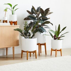 Gift Ideas for Plant Lovers: Self-Watering Planters
