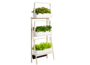 Housewarming Gift Ideas: Indoor Herb Garden Kit