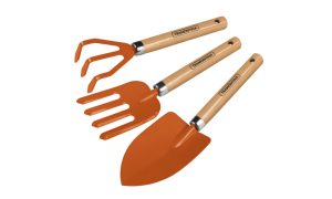 Gift Ideas for Plant Lovers: Gardening Tool Set